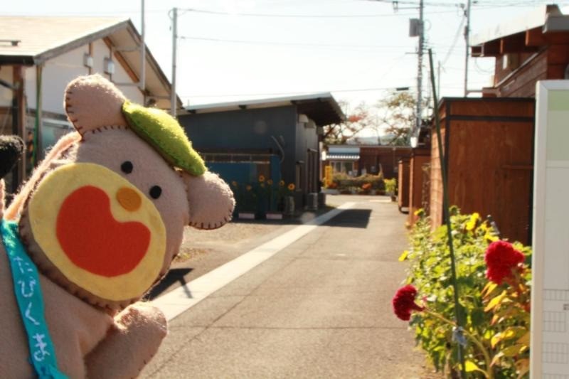 【福島開花報告】伊達東仮設住宅さま