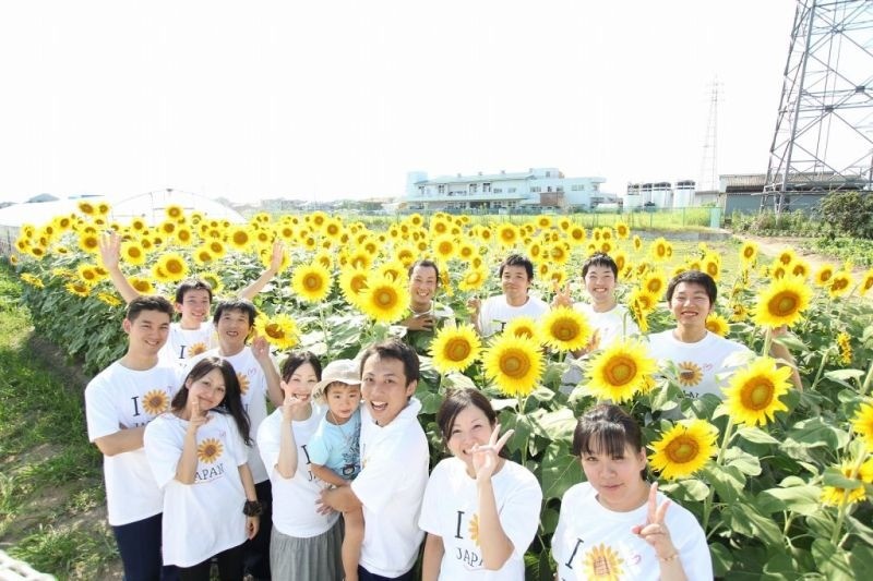 ひまわりバスまでの流れについて