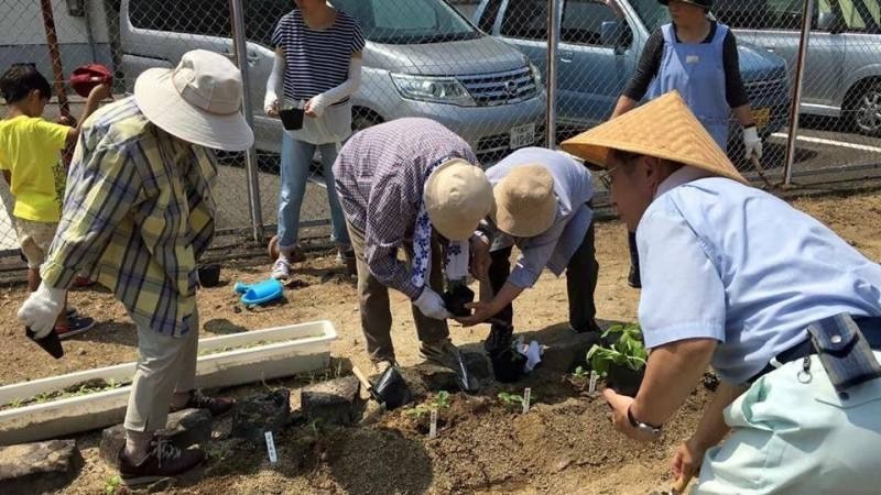 【苗植え替え】福島県福島市　みんなのひまわり　宮下町　様