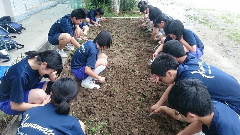 【福島県開花情報】川俣町立川俣中学校　様