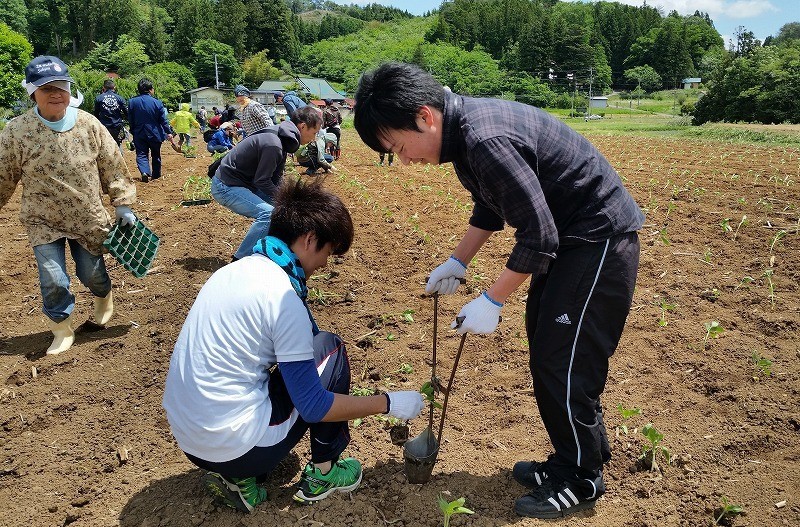 牧野ひまわり会様でのひまわり苗植えの様子