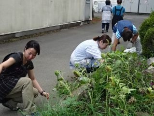 里親さんからのメッセージ（栃木県　グンゼ物流（株） 宇都宮物流センター様）