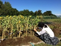 里親さんからのメッセージ（北海道　小樽高等支援学校　生徒会様）