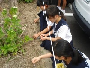 「平成29年度　善行児童生徒表彰（県教育長表彰）」唐津市立浜玉中学校