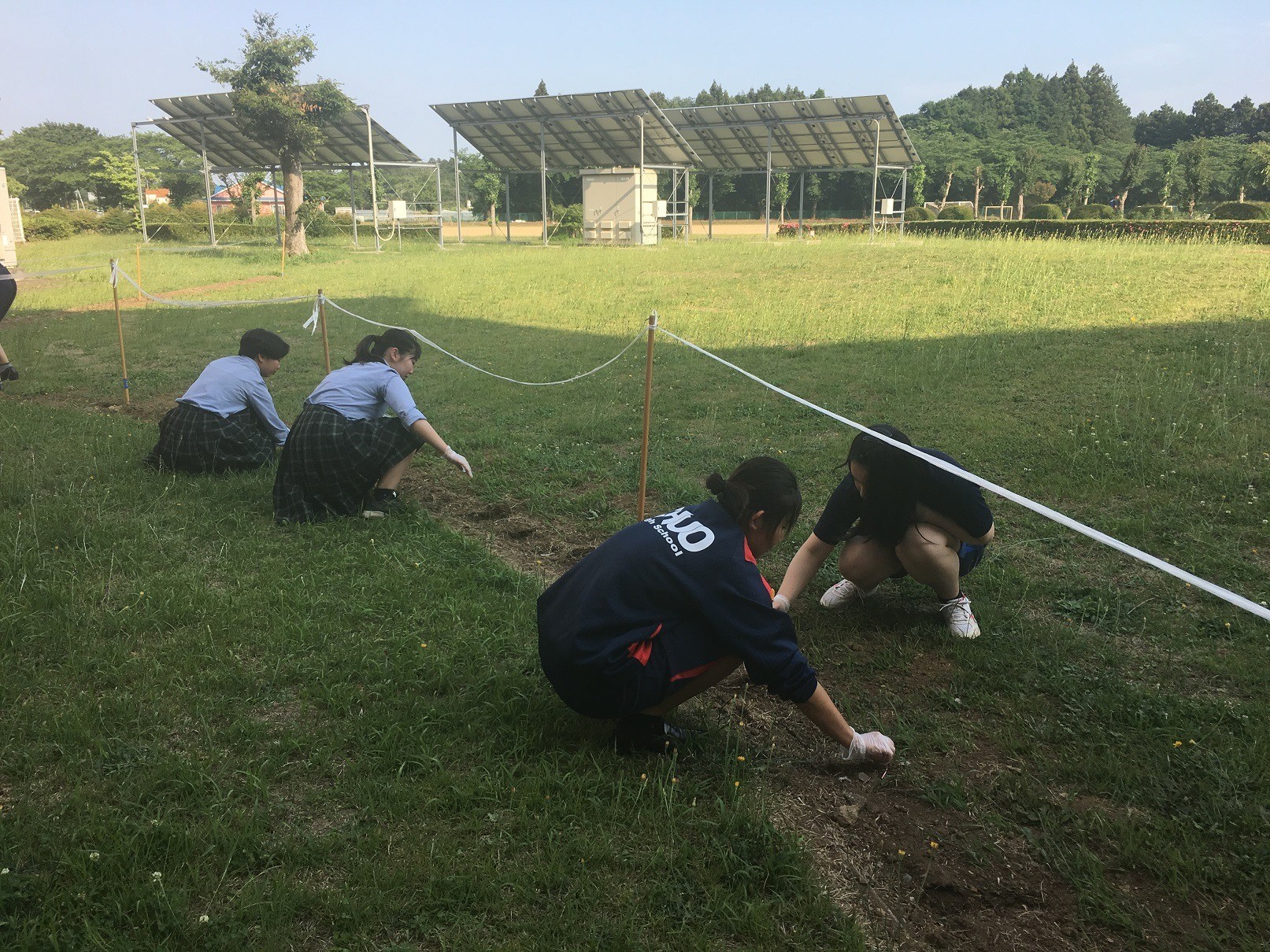 里親さんからのメッセージ（茨城県　中央高等学校 家庭クラブ　様）