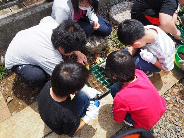 里親さんからのメッセージ（千葉県　社会福祉法人三育ライフ　若葉放課後等デイサービス　様）