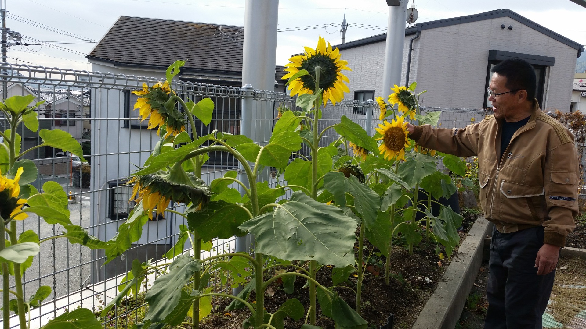 【里親さんの取り組み】友岡こども園 様（京都府）たびくまくん訪問🌻