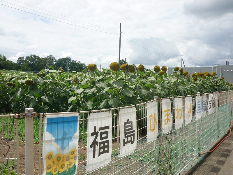 【里親さんの取り組み】医療法人桃花会　一宮温泉病院 様（山梨県）