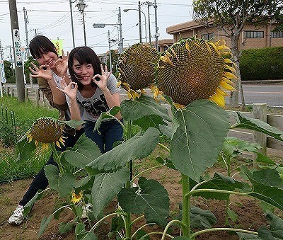 【里親さんの取り組み】がんばれ福島❀そうさ応援団様（千葉県）