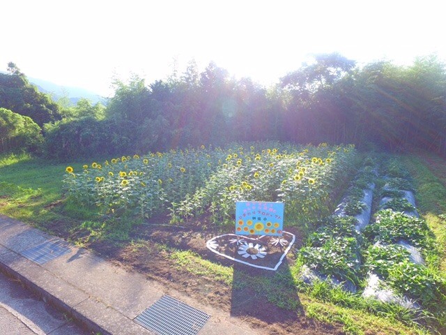 【里親さんの取り組み】橋本市立信太小学校　様（和歌山県）