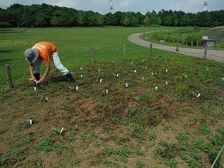 【里親さんの取り組み】北総花の丘公園様（千葉県）