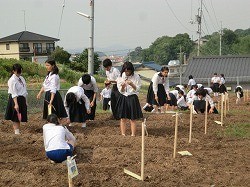 【里親さんの取り組み】玉島東中学校さま（岡山県）