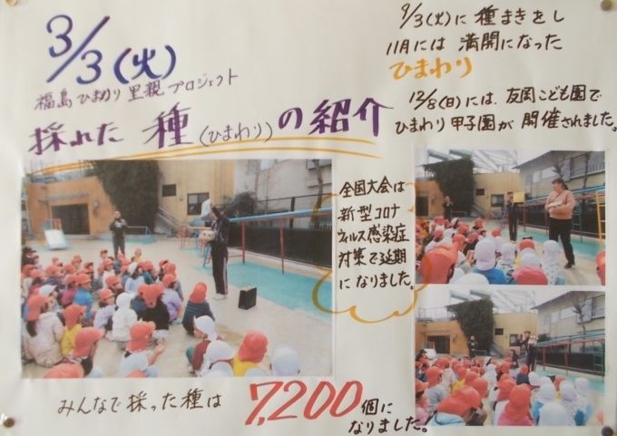 【里親さんの取り組み】友岡こども園 様(京都府)　採れた種の数7200粒🌻