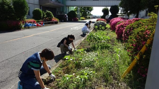 【里親さまの取り組み】グンゼ株式会社　さま