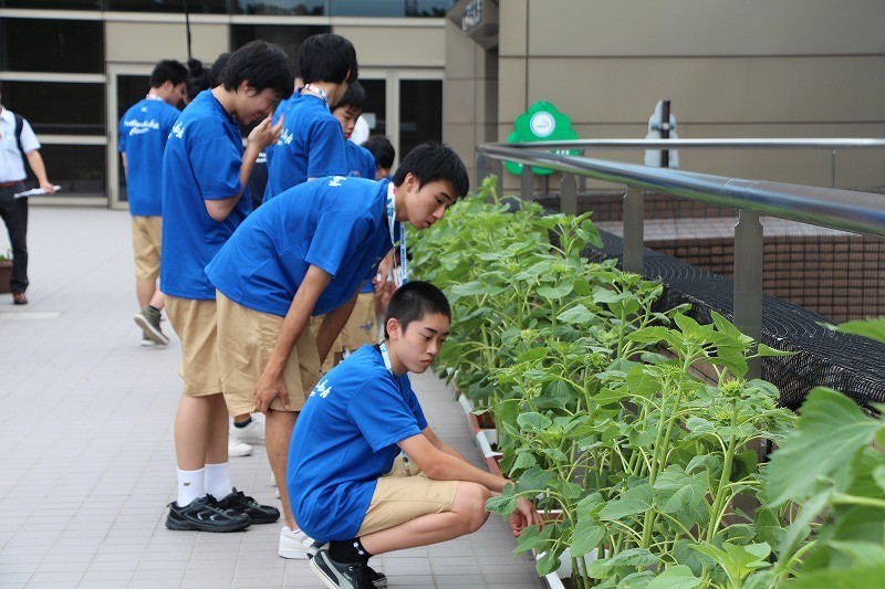 ひまわり甲子園2018全国大会　開催