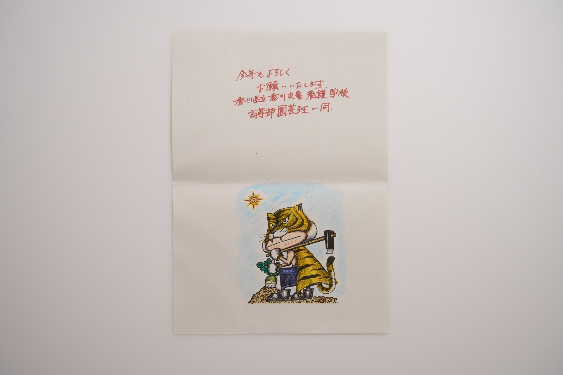 里親さんからのメッセージ（香川県立香川丸亀養護学校　高等部園芸班さま）