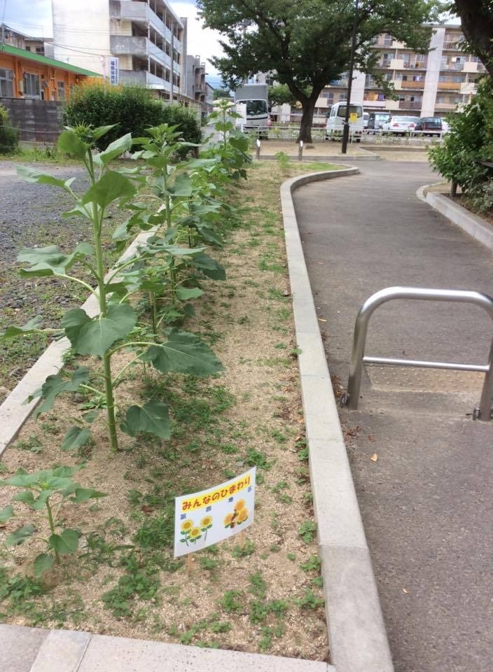 福島県内の取り組み（みんなのひまわり様）