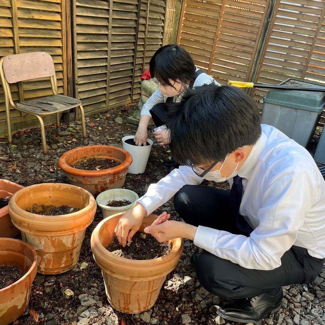 【種まき】 福島ひまわり里親プロジェクト事務局で種まき