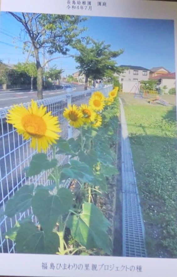 里親さんからのメッセージ（三重県　ながしまエコの会さま）