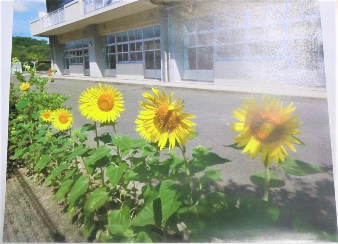 里親さんからのメッセージ（広島県　尾道市立因島南中学校さま）