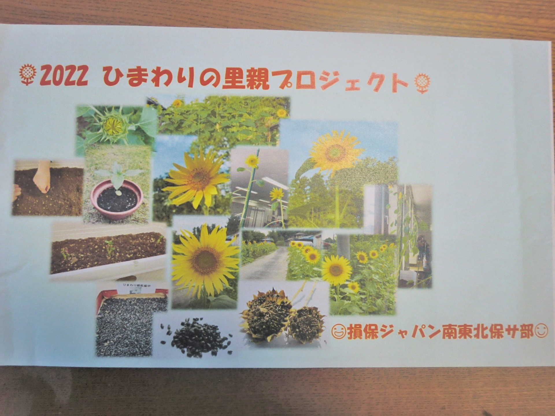 里親さんからのメッセージ（宮城県　損害保険ジャパン株式会社　南東北保険金サービス部さま）